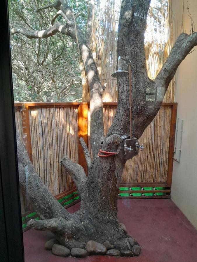 Kosi Bay Casitas Villa Manguzi Екстериор снимка